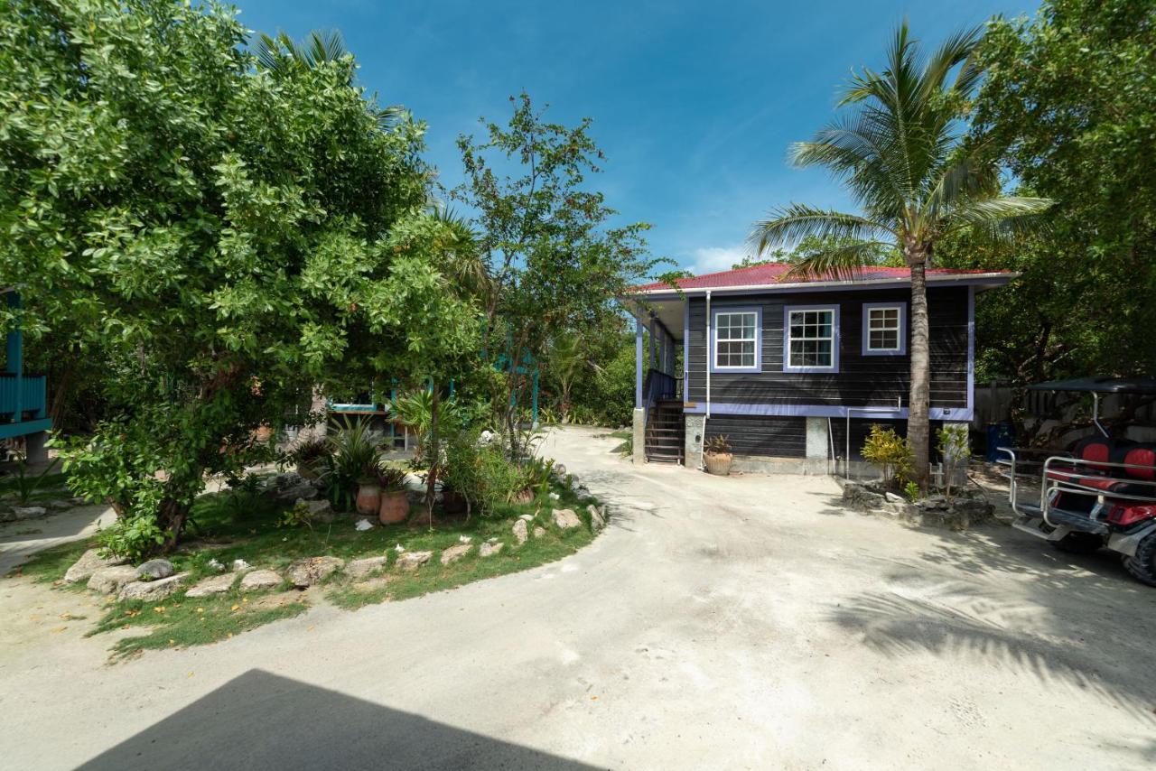 Bella Vista Resort Belize ซานเปโดร ภายนอก รูปภาพ